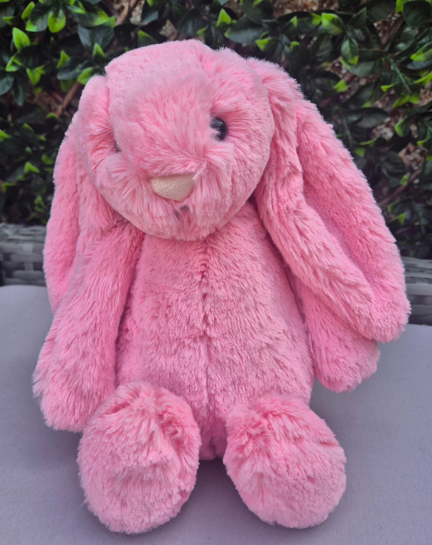 Jellycat sorbet medium bashful bunny