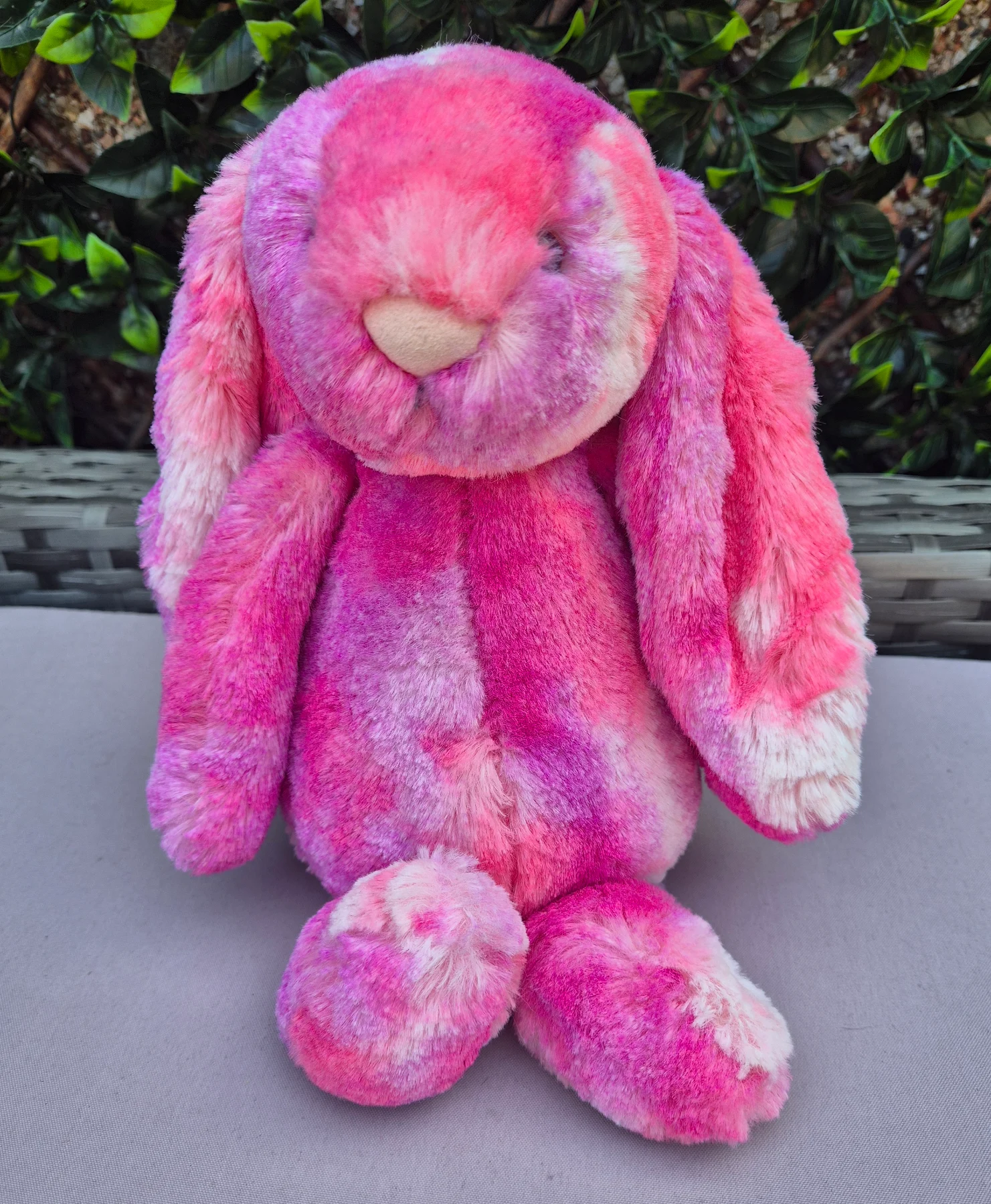 Jellycat medium sherbet bashful bunny