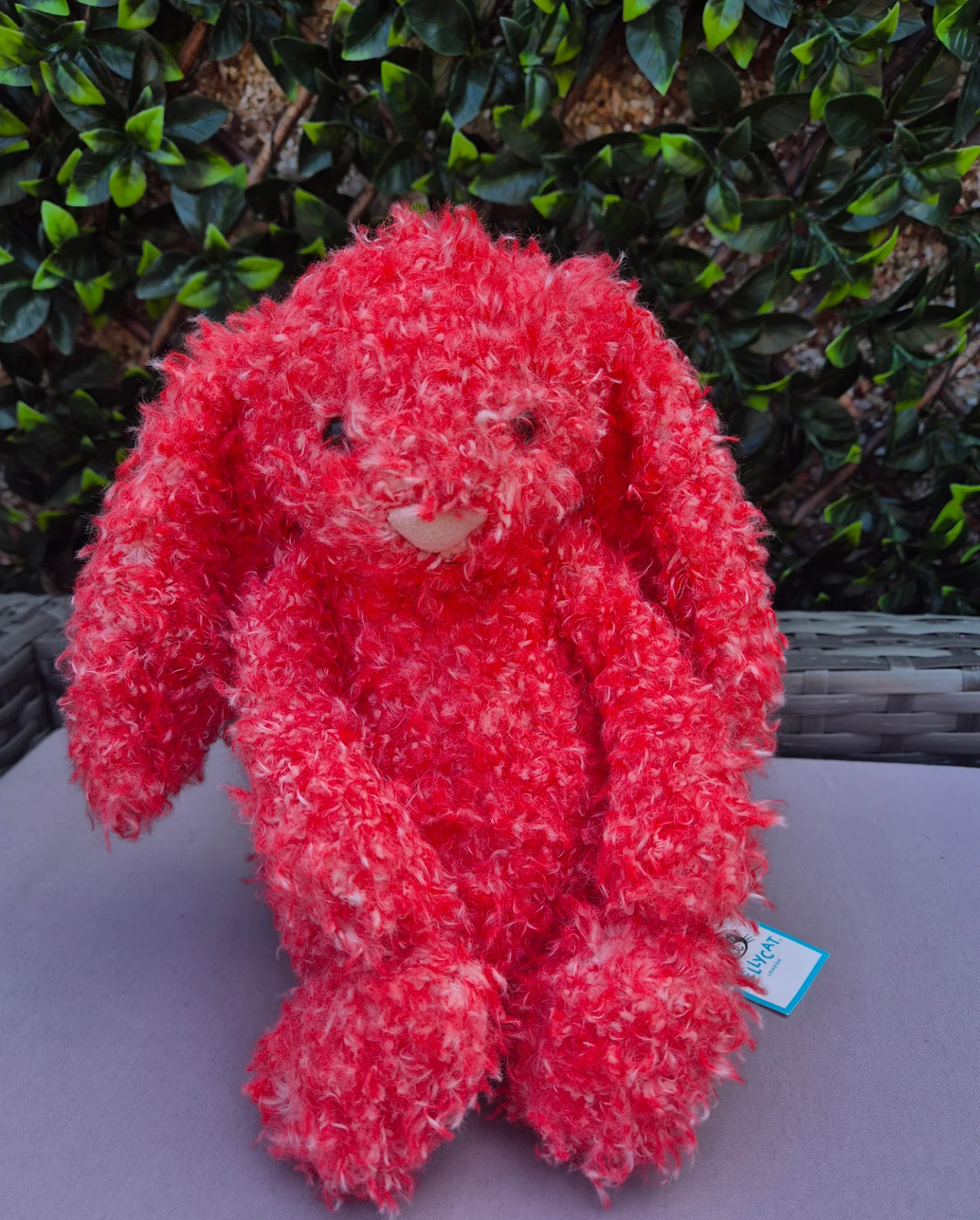 Jellycat bashful Holly bunny