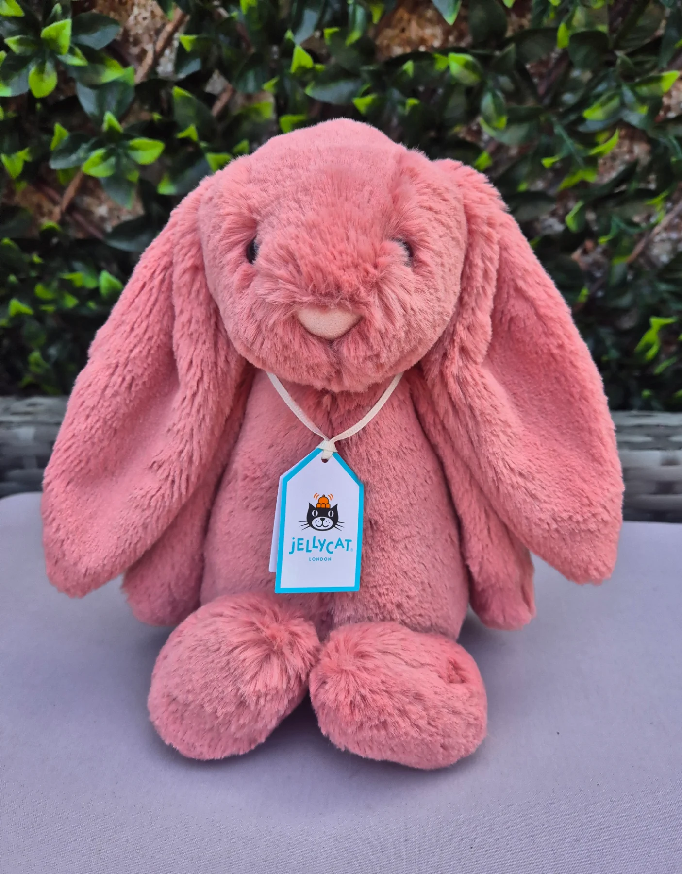 Jellycat sorrel bashful bunny