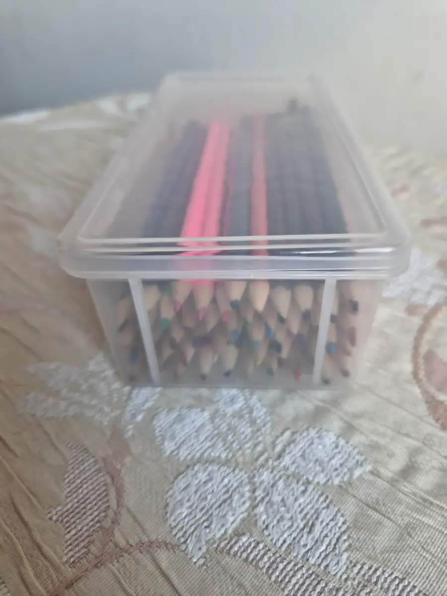 Crayons + Case