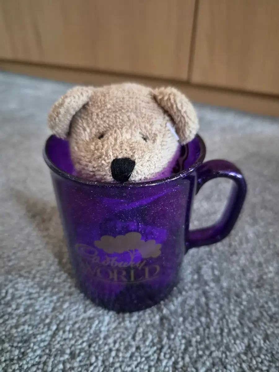 Cadbury World Bear in Mug