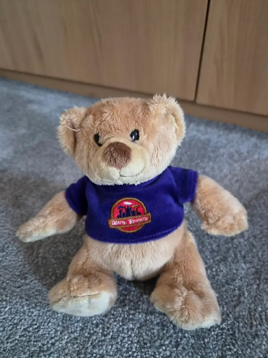 Alton Towers Magnetic Bear