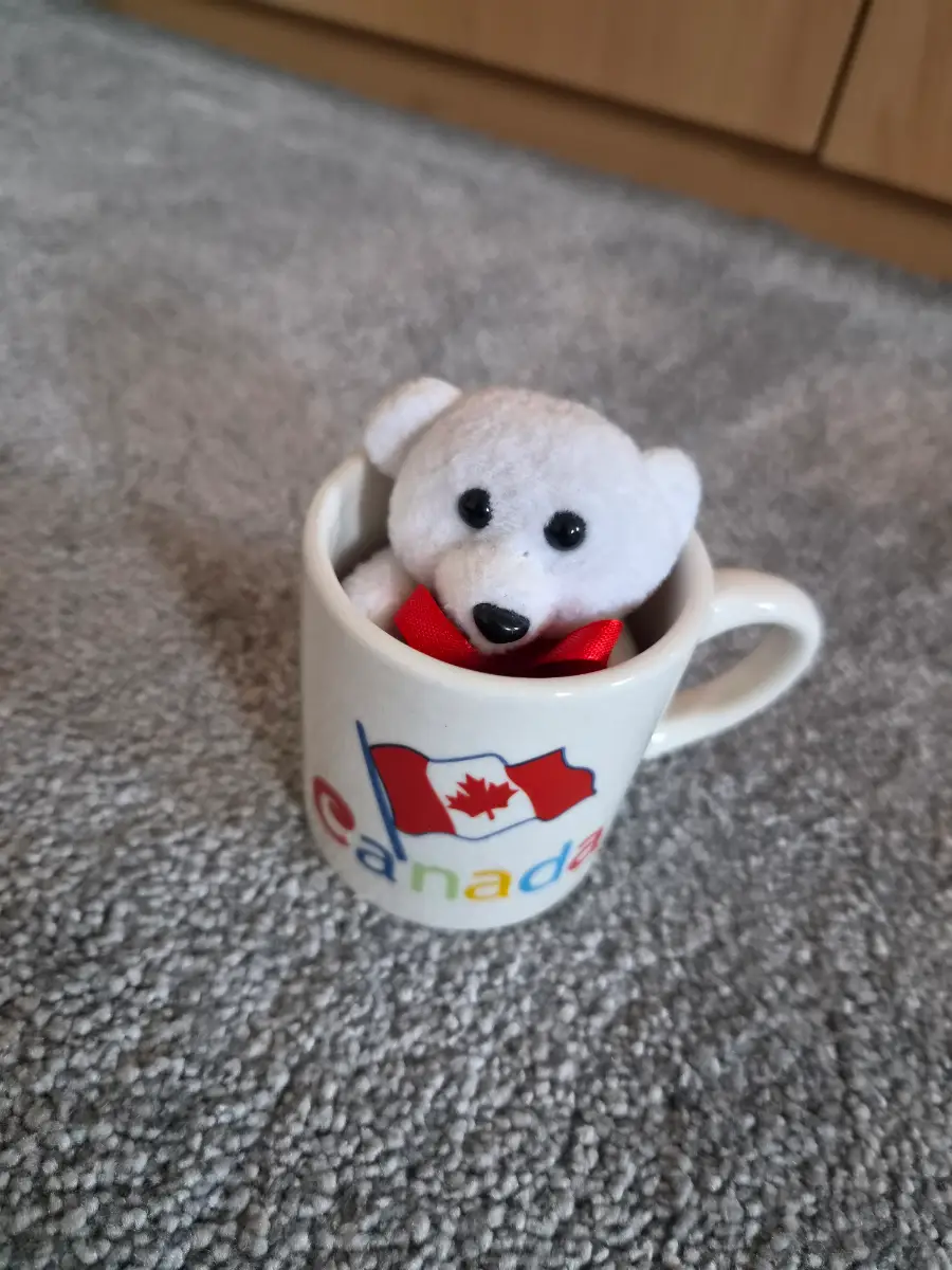 Mini Bear in Canada Mug