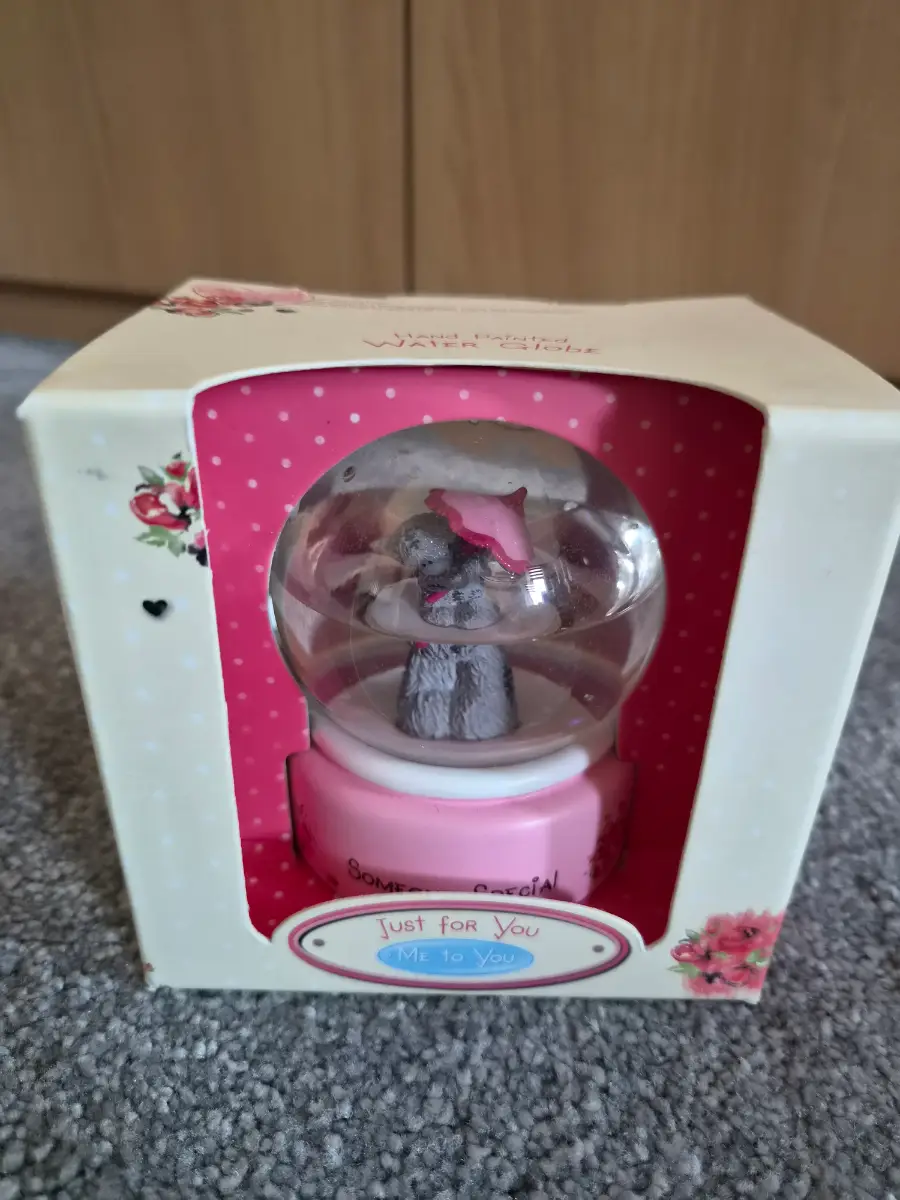 Water Globe Hand Painted