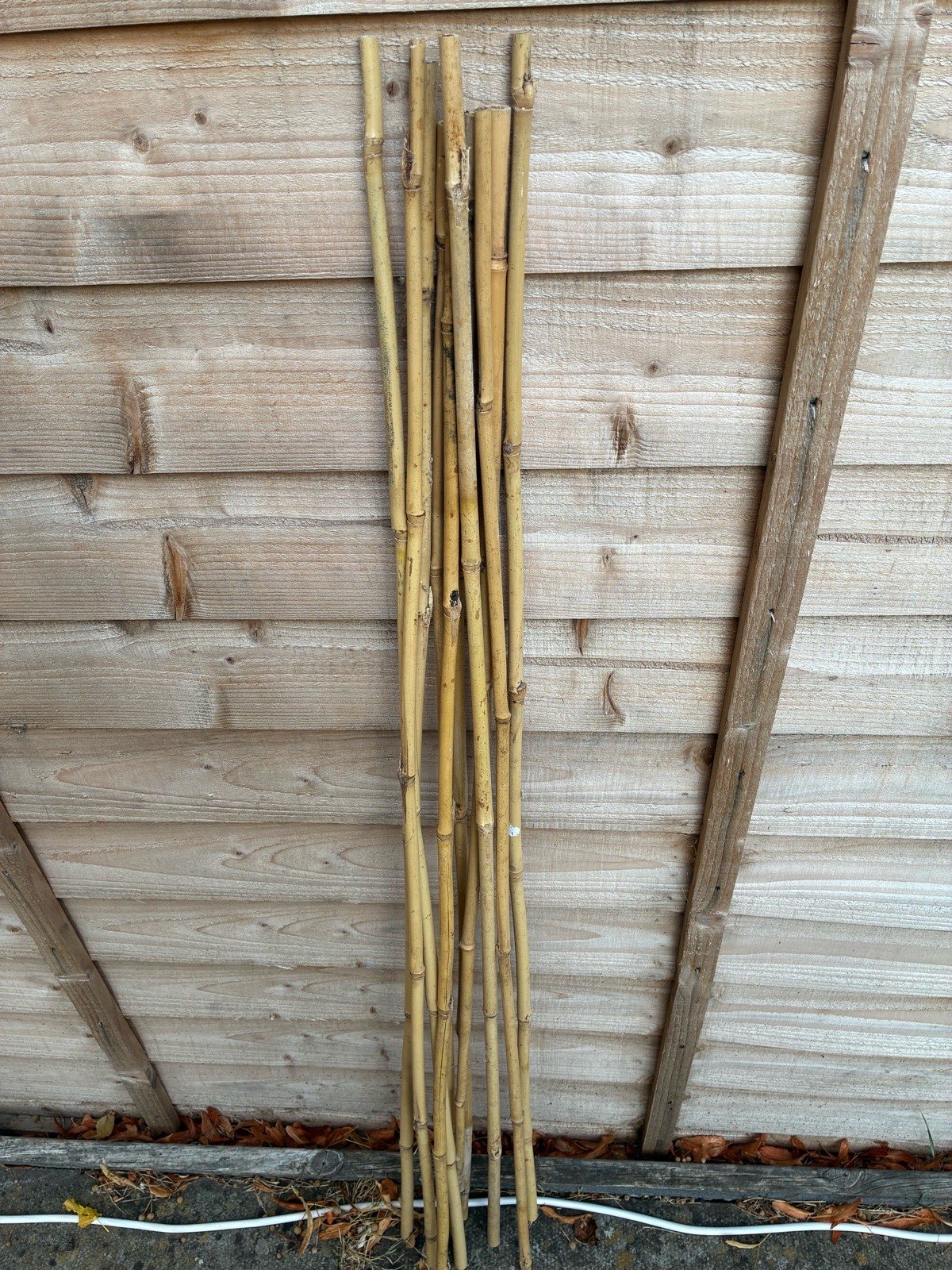 X10 3ft bamboo sticks