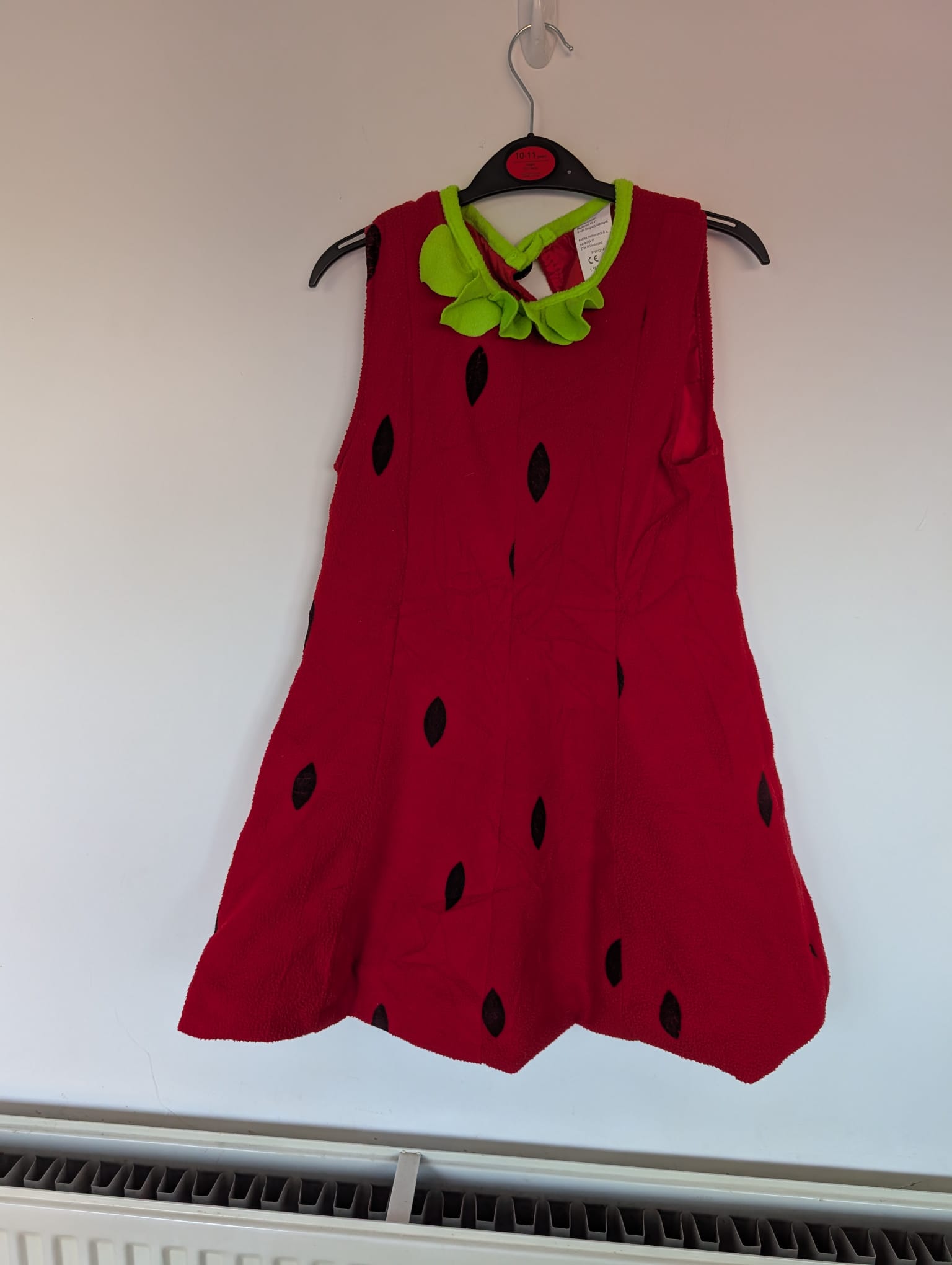 Strawberry 10 Years Old Fancy Dress Costume | Size 140cm