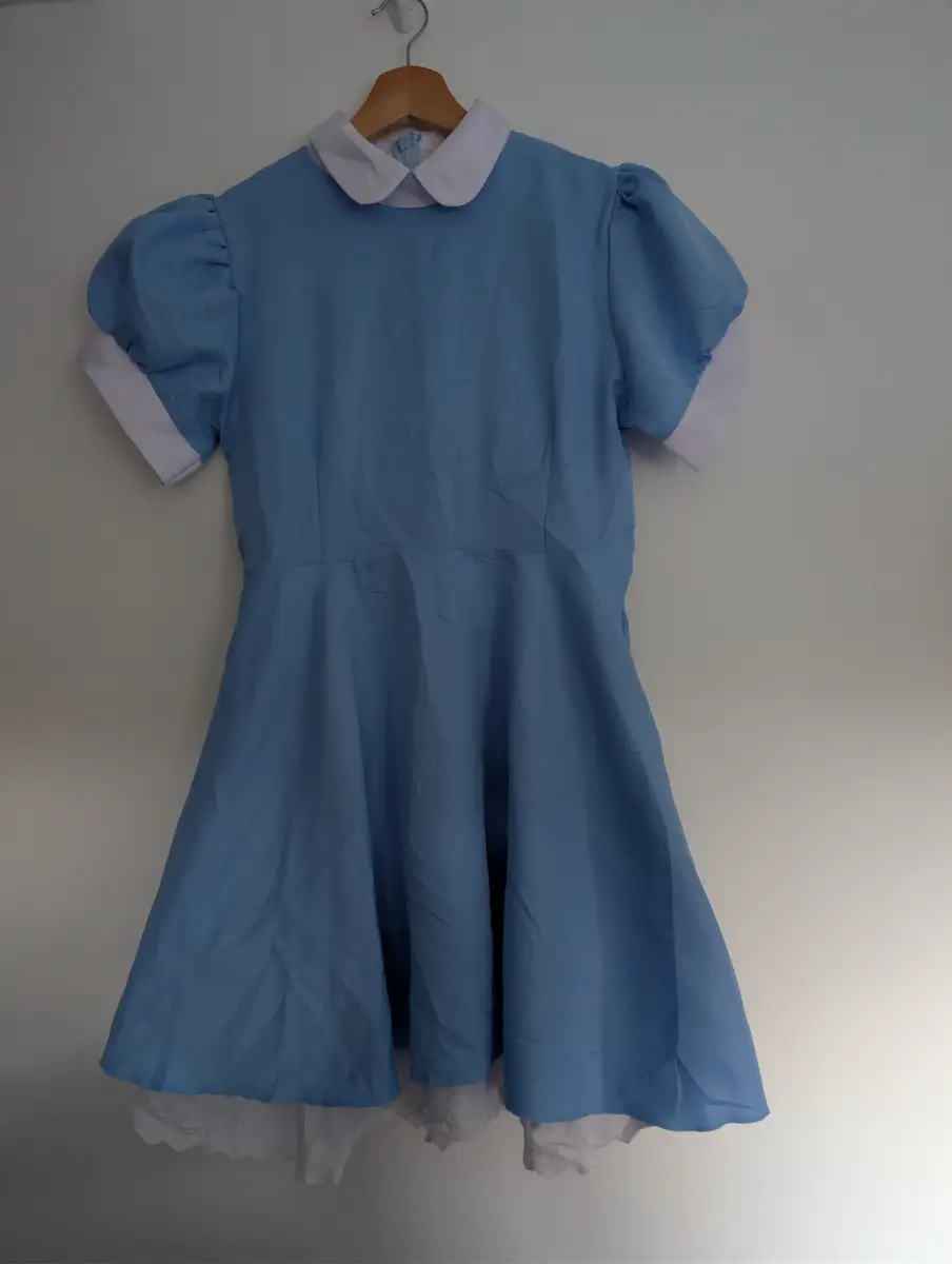 Alice in Wonderland Fancy Dress Costume – Girls Medium
