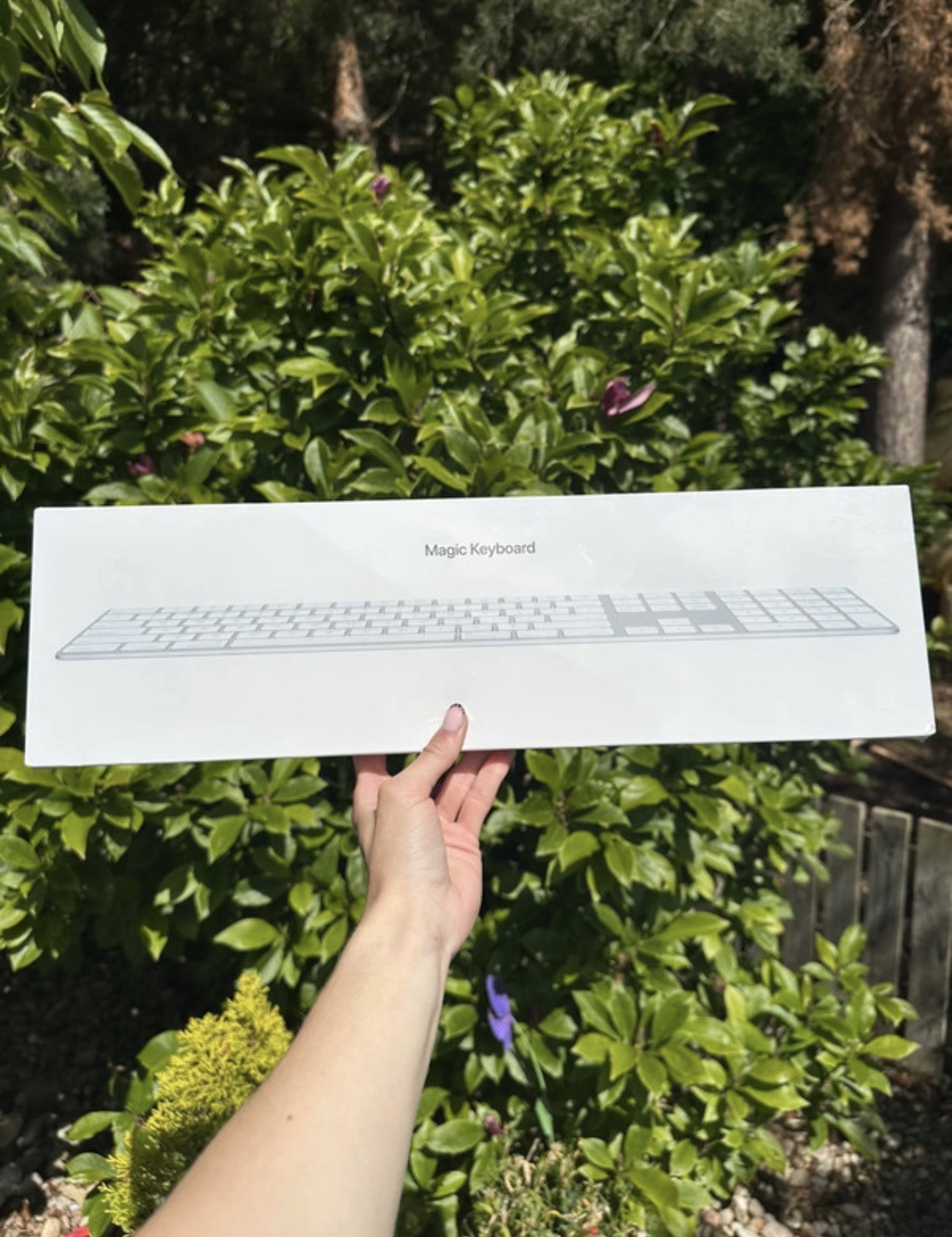 Apple Magic Keyboard with numeric keypad - new. - model No. A1843