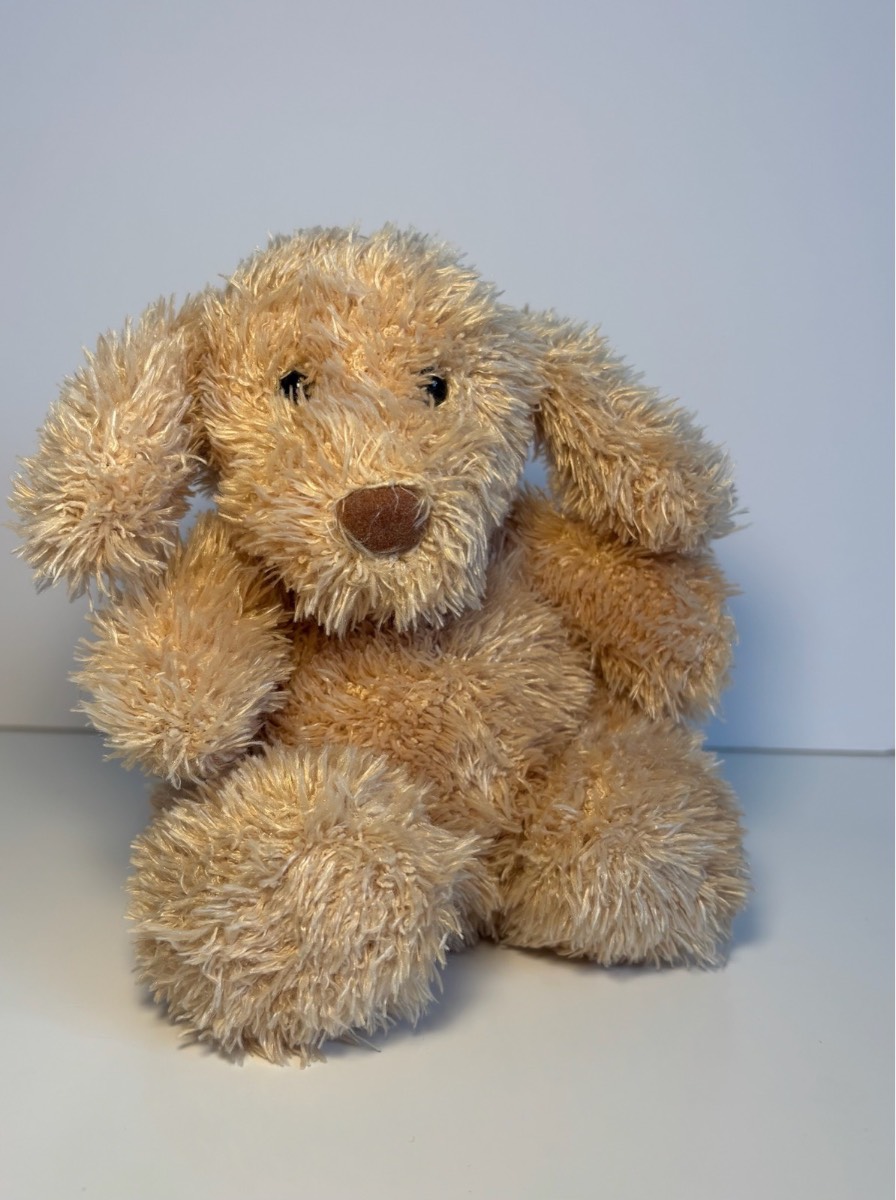 Jellycat Pudge Puppy (Retired)