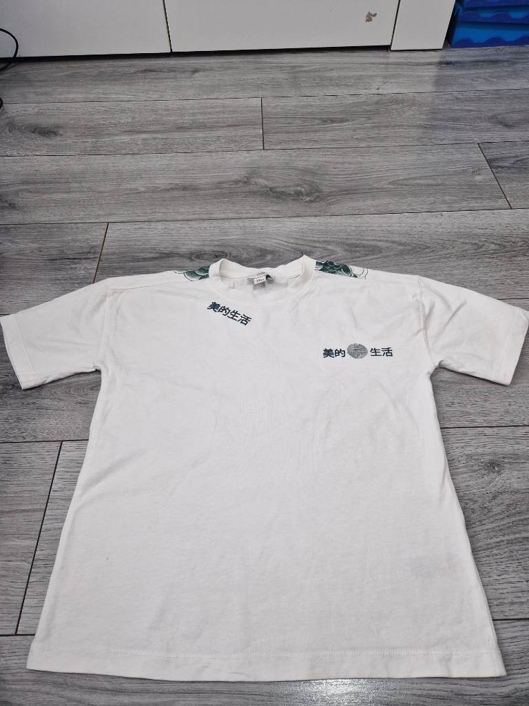 River island boys dragon tshirt