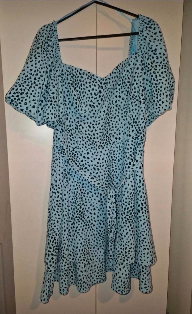 Blue animal print skater dress
