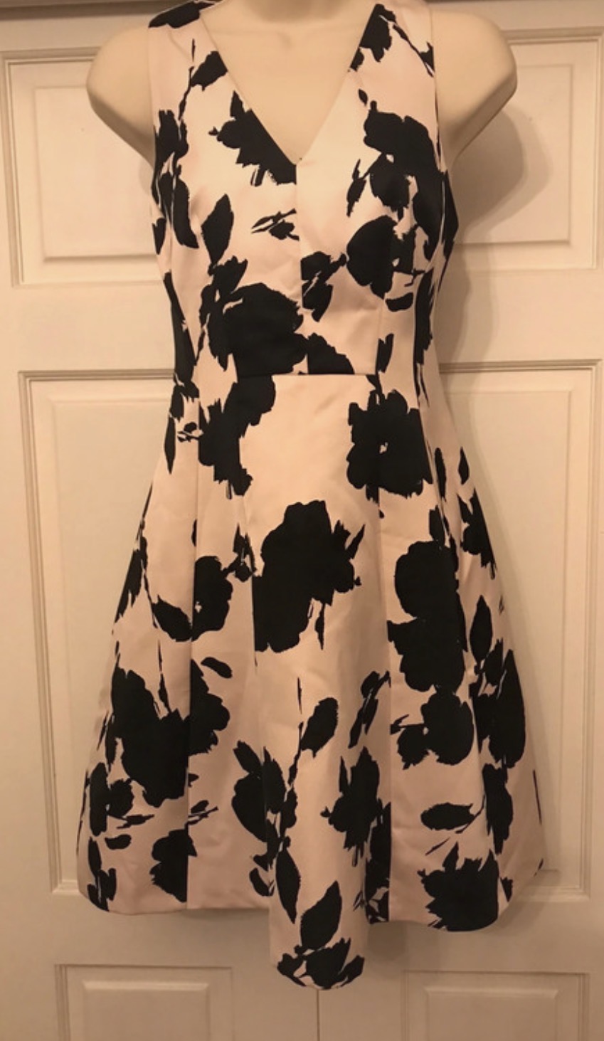 Beautiful cream and black Belise print Coast Kristen dress