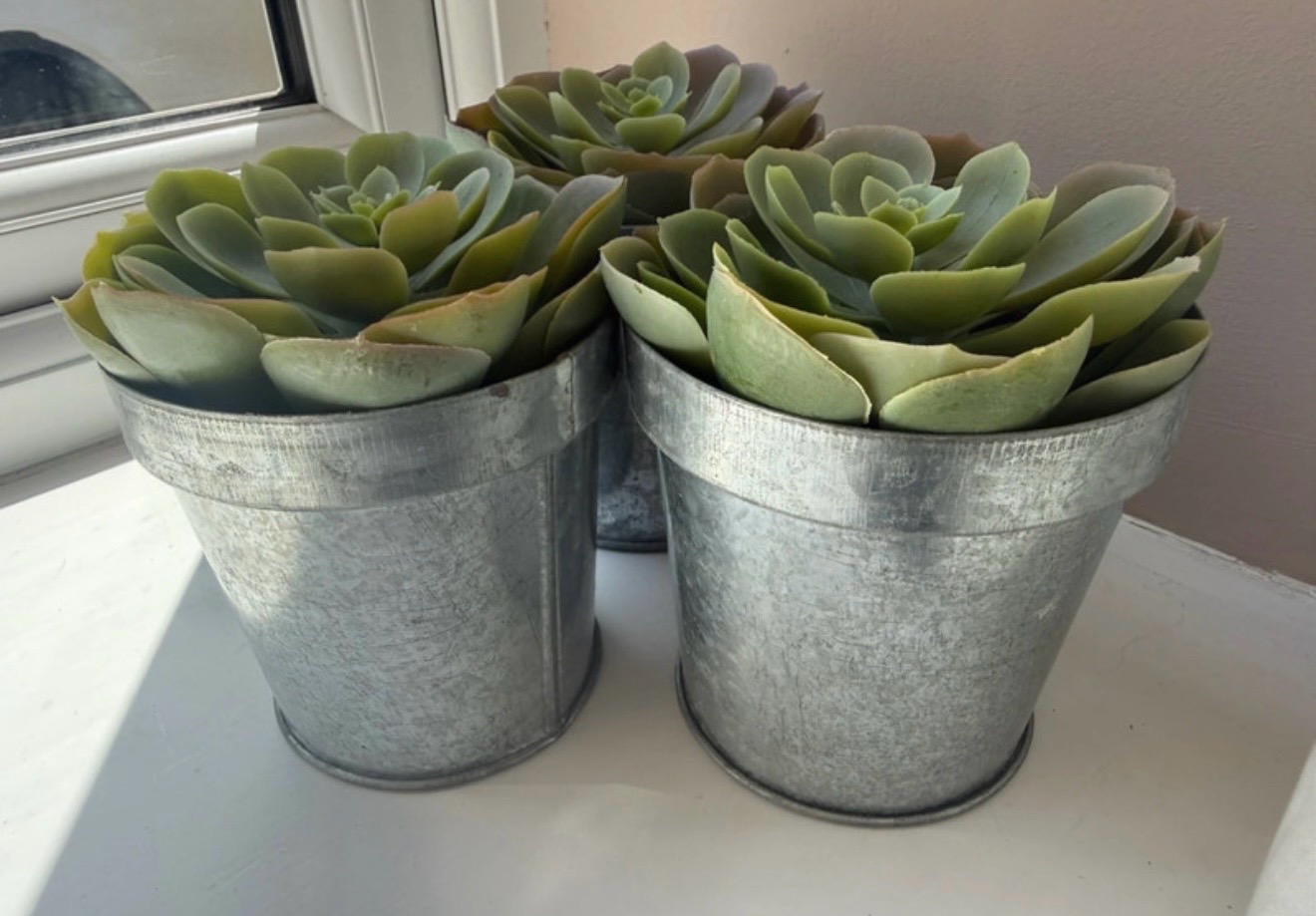 🚨 BNWoT Artificial Plants in Silver Planters x3 RRP £30