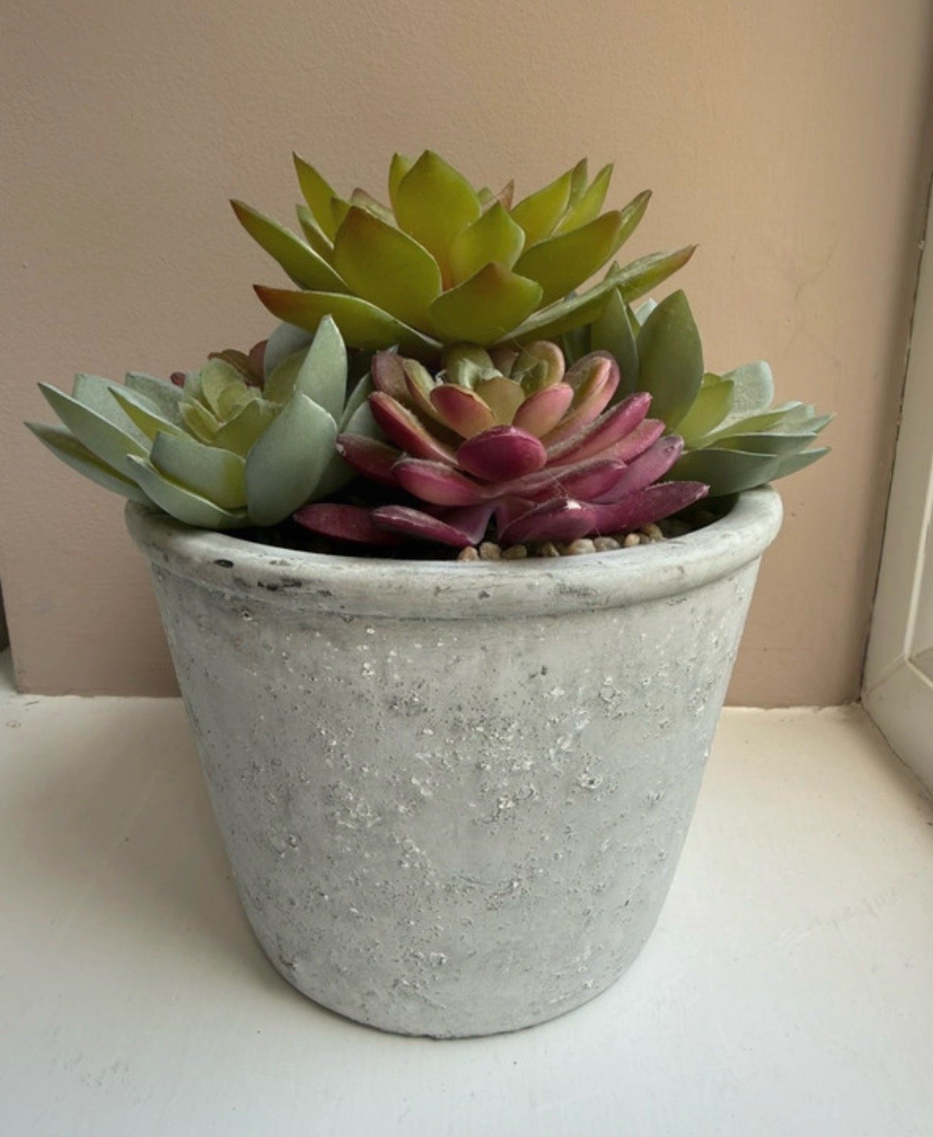 🚨 BNWoT Artificial Succulent Plant in Faux Concrete Planter RRP £35