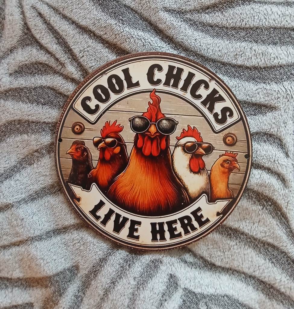 New funny 'Cool chicks live here' wood sign