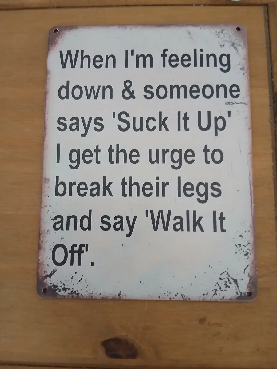 New funny 2D Rustic wood sign