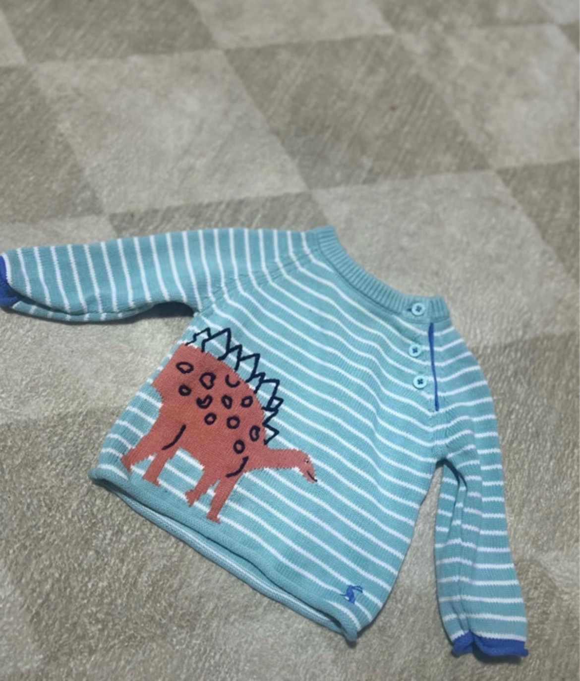 Boys age 3-6 months dinosaur jumper