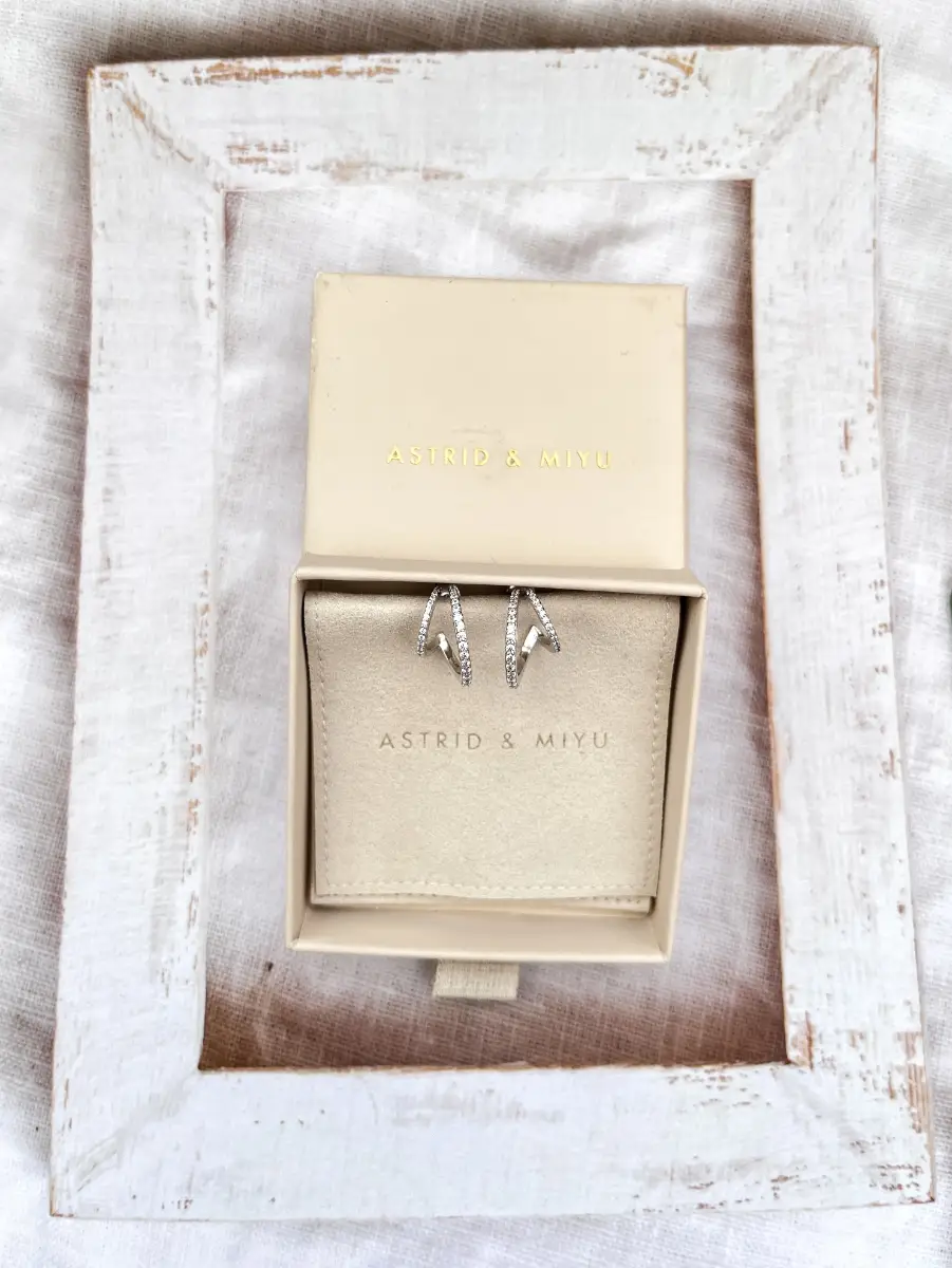 Astrid & Miyu, Illusion Crystal Double Hoop Earrings, Silver