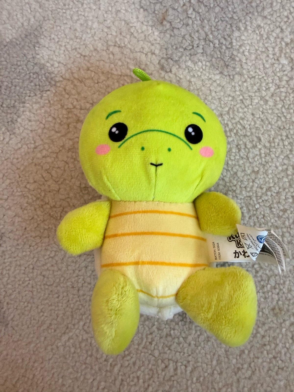 Used turtle teddy