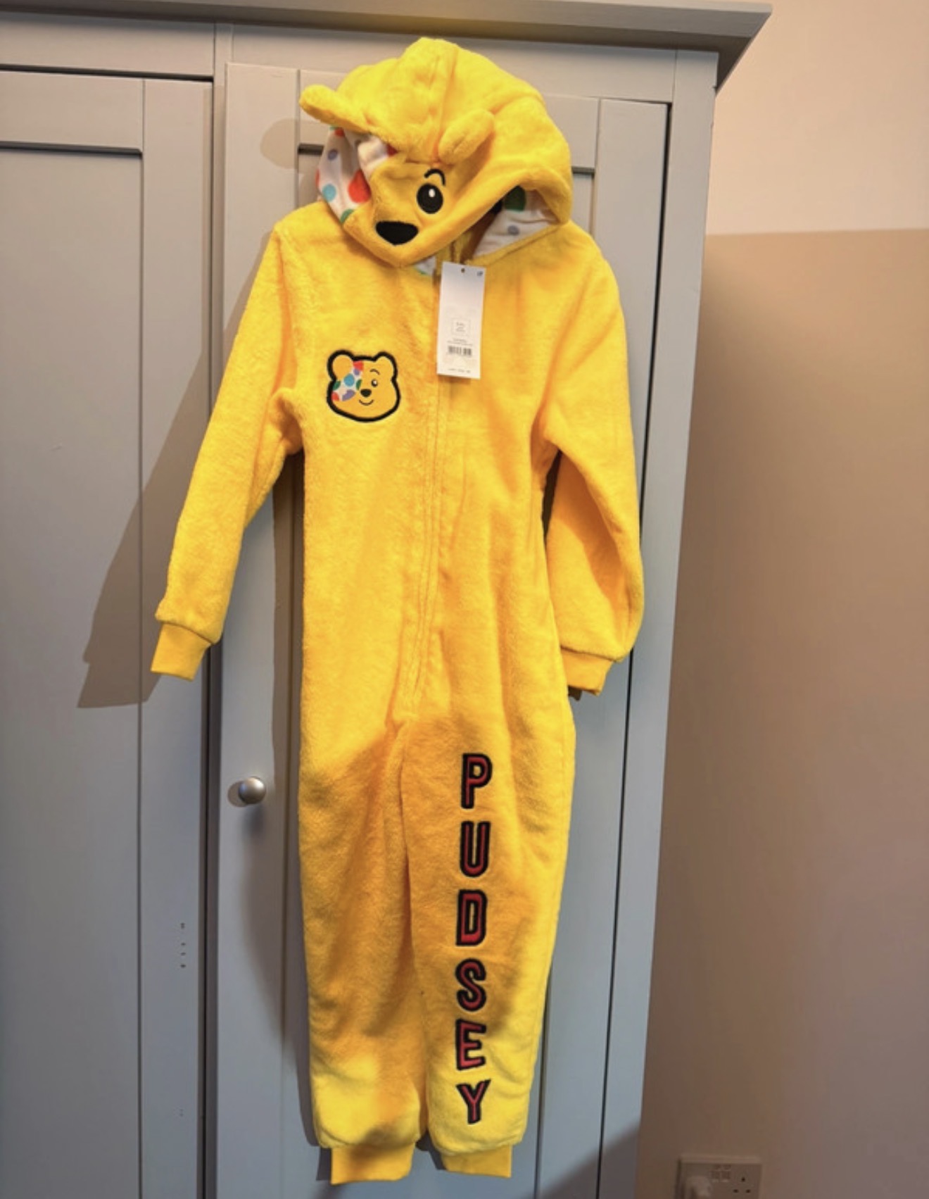 5-6 year pudsey onesie