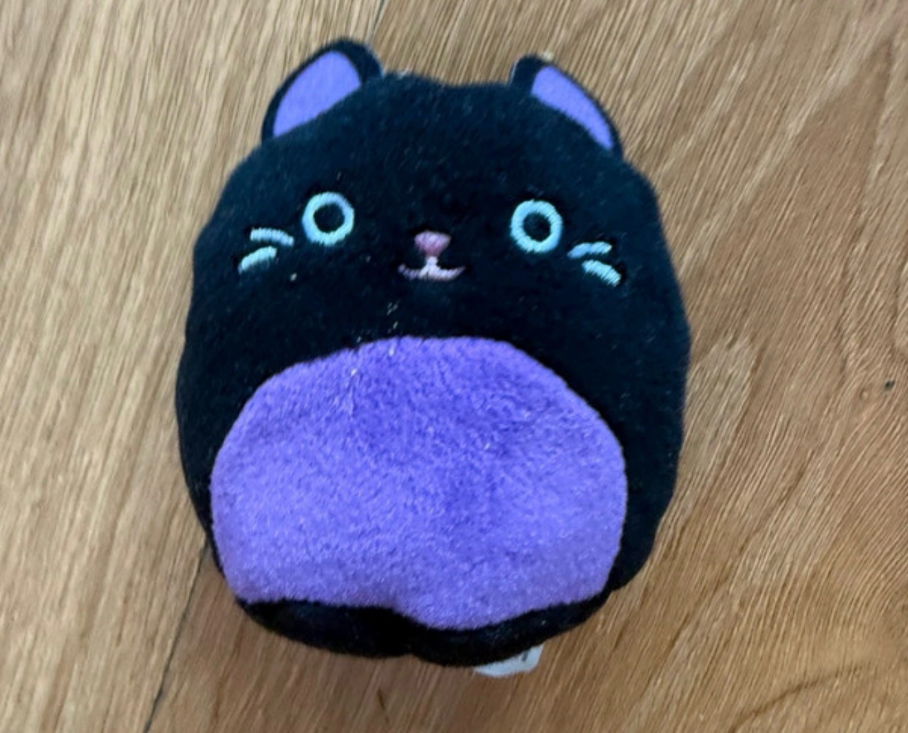 Macdonald toy teddy cat