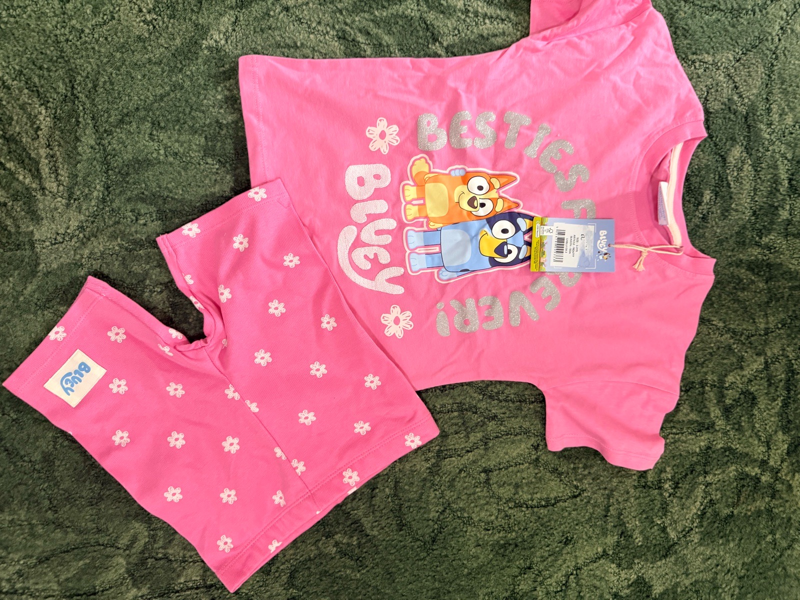 2-3 year bluey short set