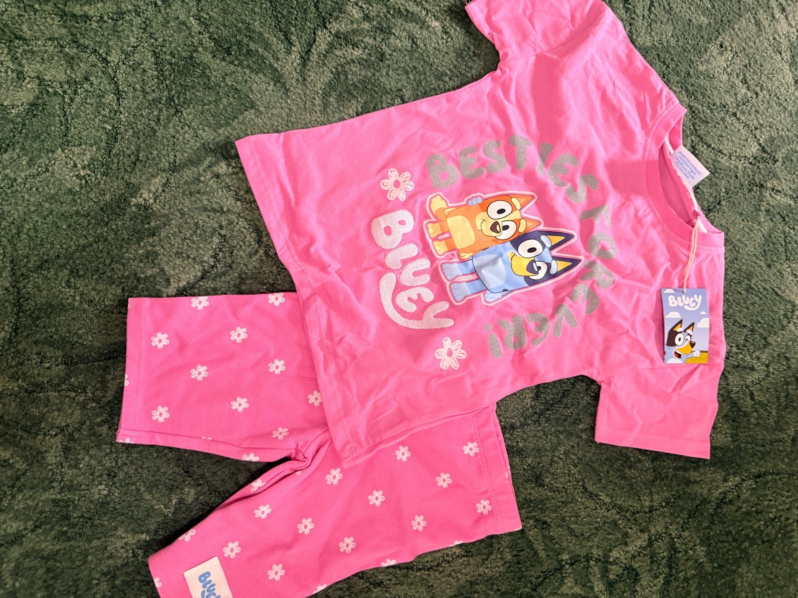 4-5 year bluey short set