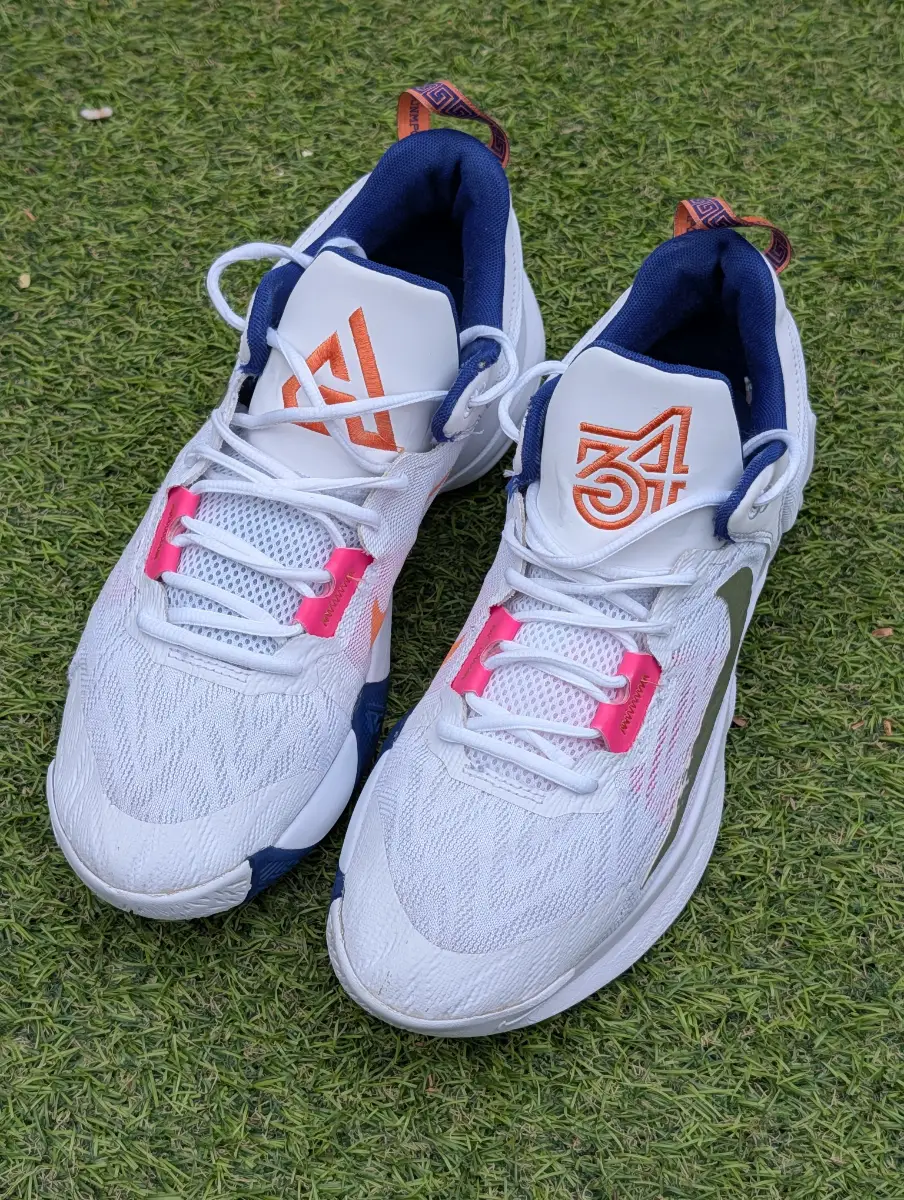 Nike Giannis Immortality 2 Trainers