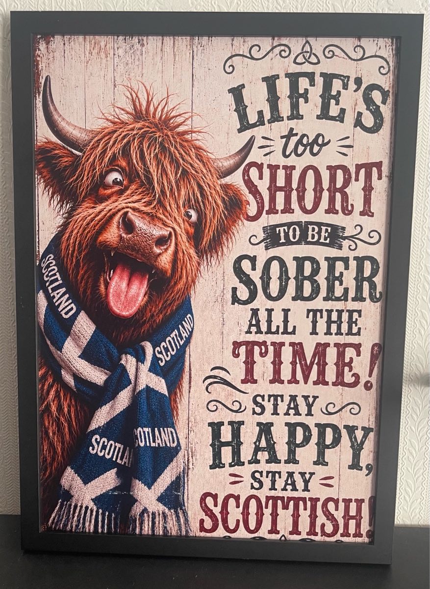 Novelty Highland Cow Picture in A3 Frame