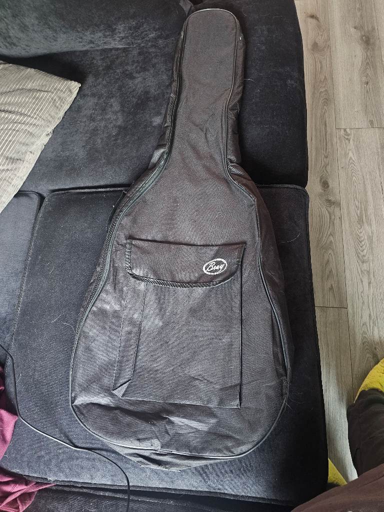 Bray guitar case