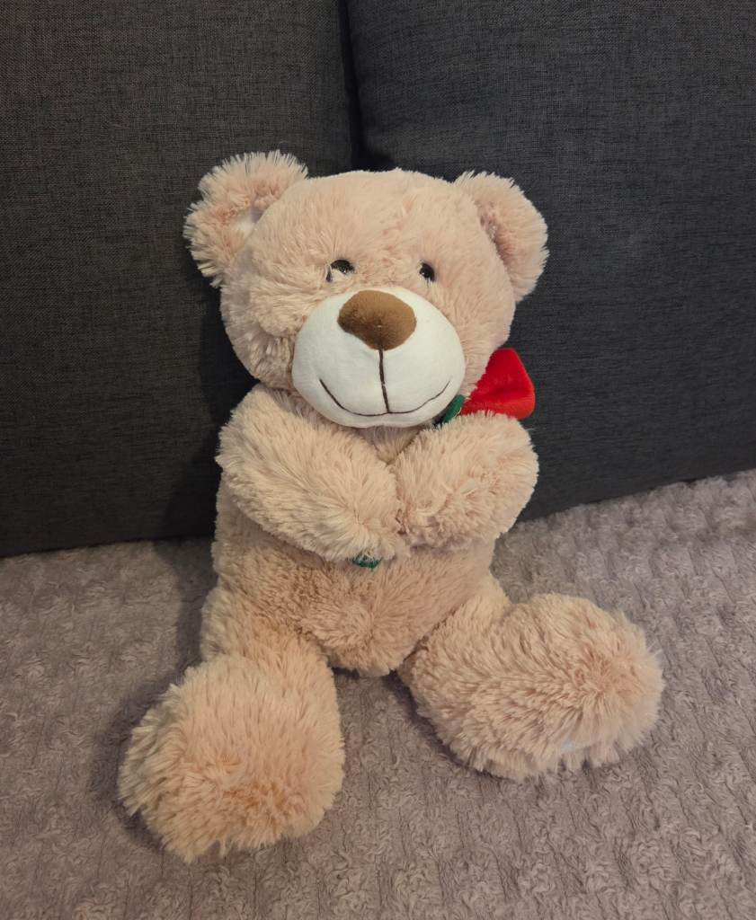 Cute Teddy Bear