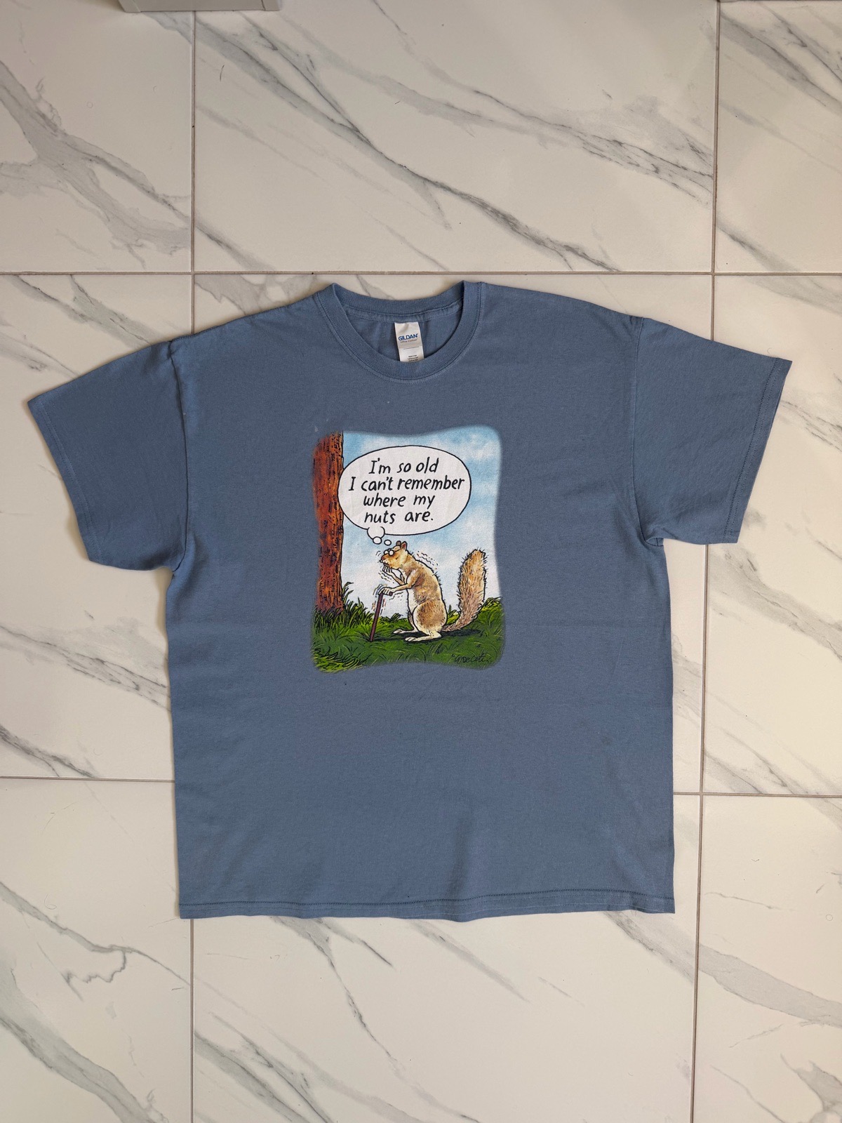 I’m So Old I Can’t Remember Where My Nuts Are Funny Parody Humour T-Shirt - Size XL