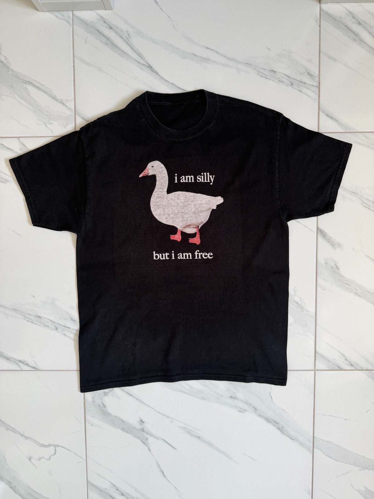 I’m Silly But I’m Free Funny Humour T-Shirt - Size Large