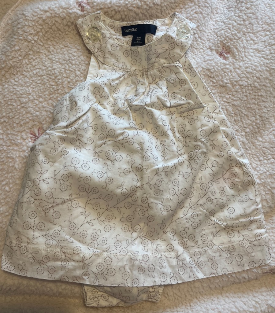 BNWT BabyGap baby dress