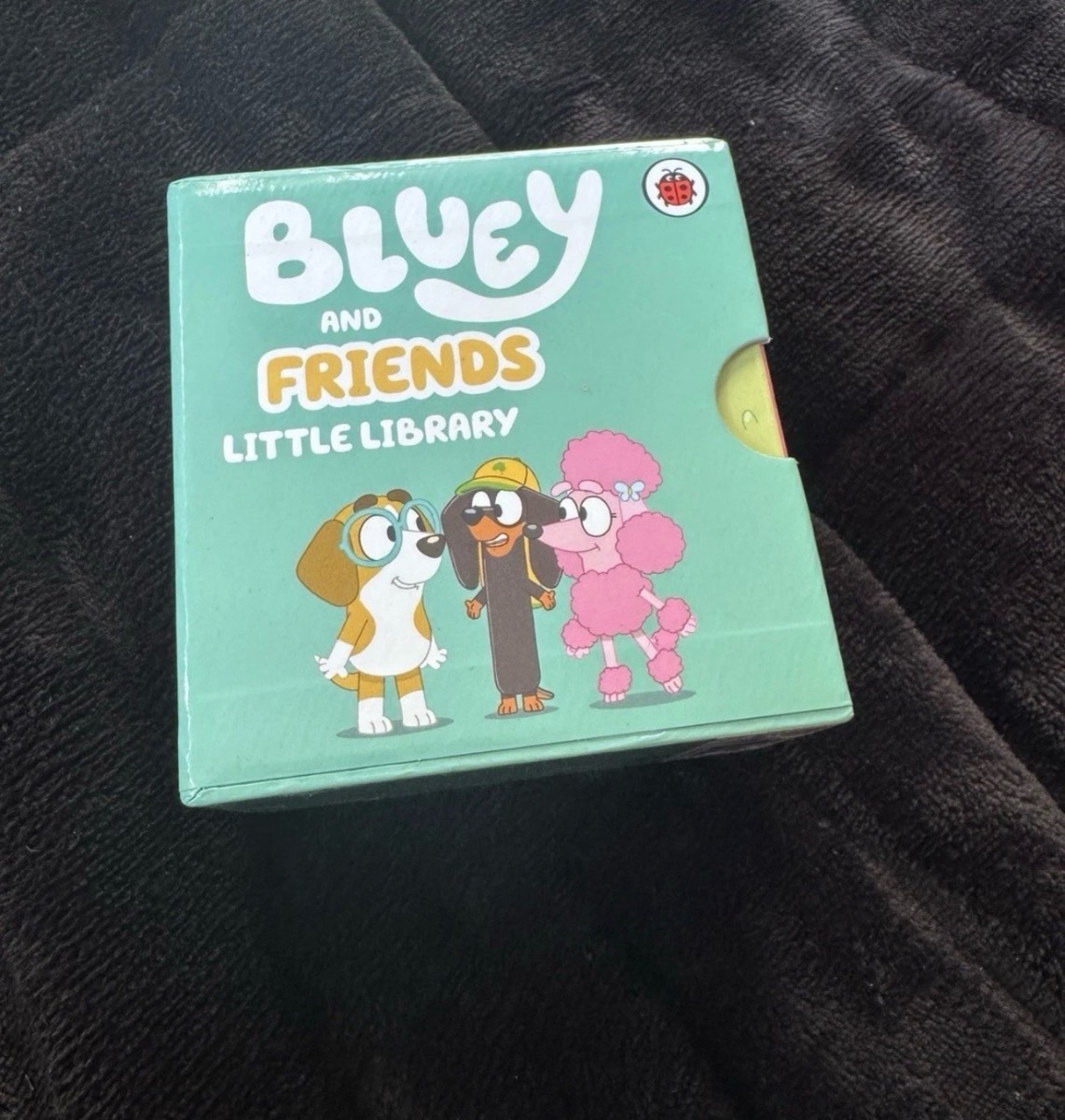Bluey Little Library Book Set, Multicolour, 4 Mini Board Books & Jigsaw Gift Set