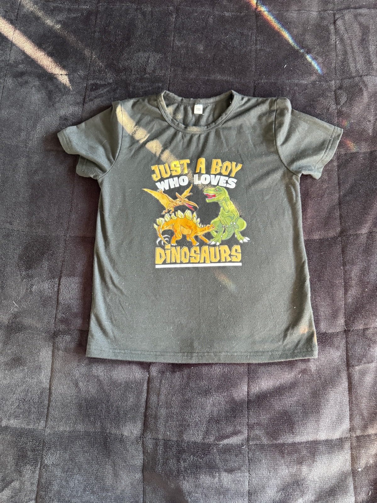 Kids Dinosaur T-Shirt, Charcoal Grey, Age 7–8, Size 130, Short Sleeve
