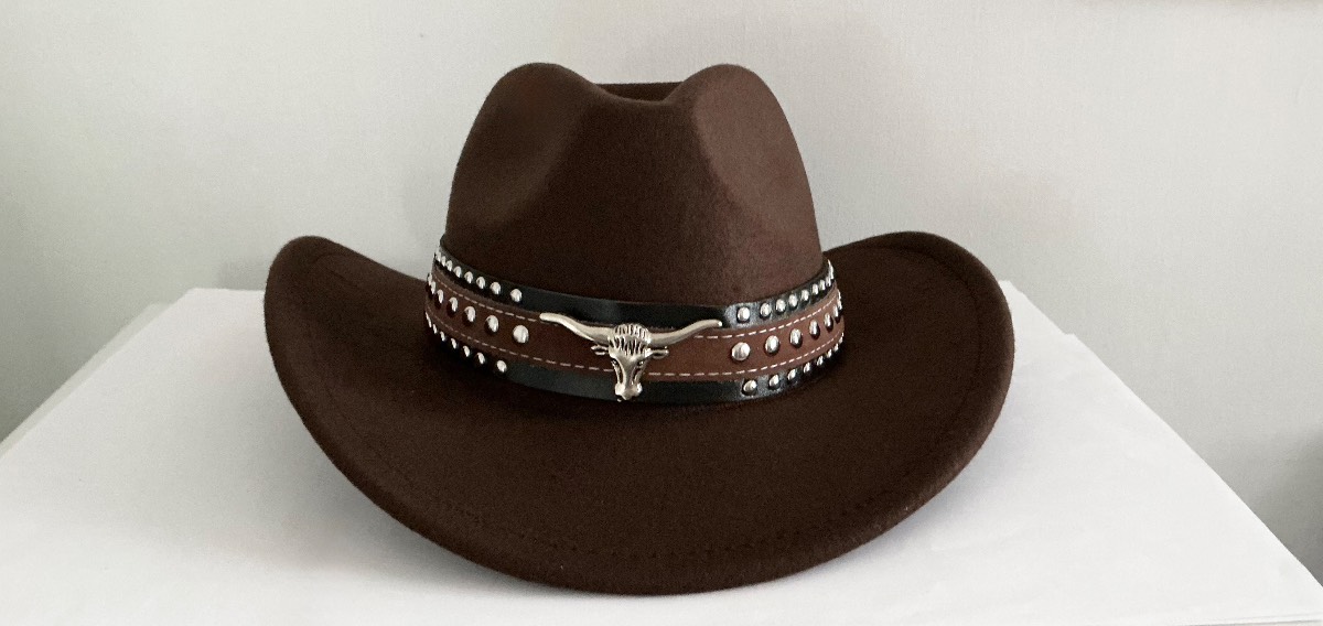 Cowboy Cowgirl brown hat with bull head western style belt trim Rodeo Hen Stag party Music festivals