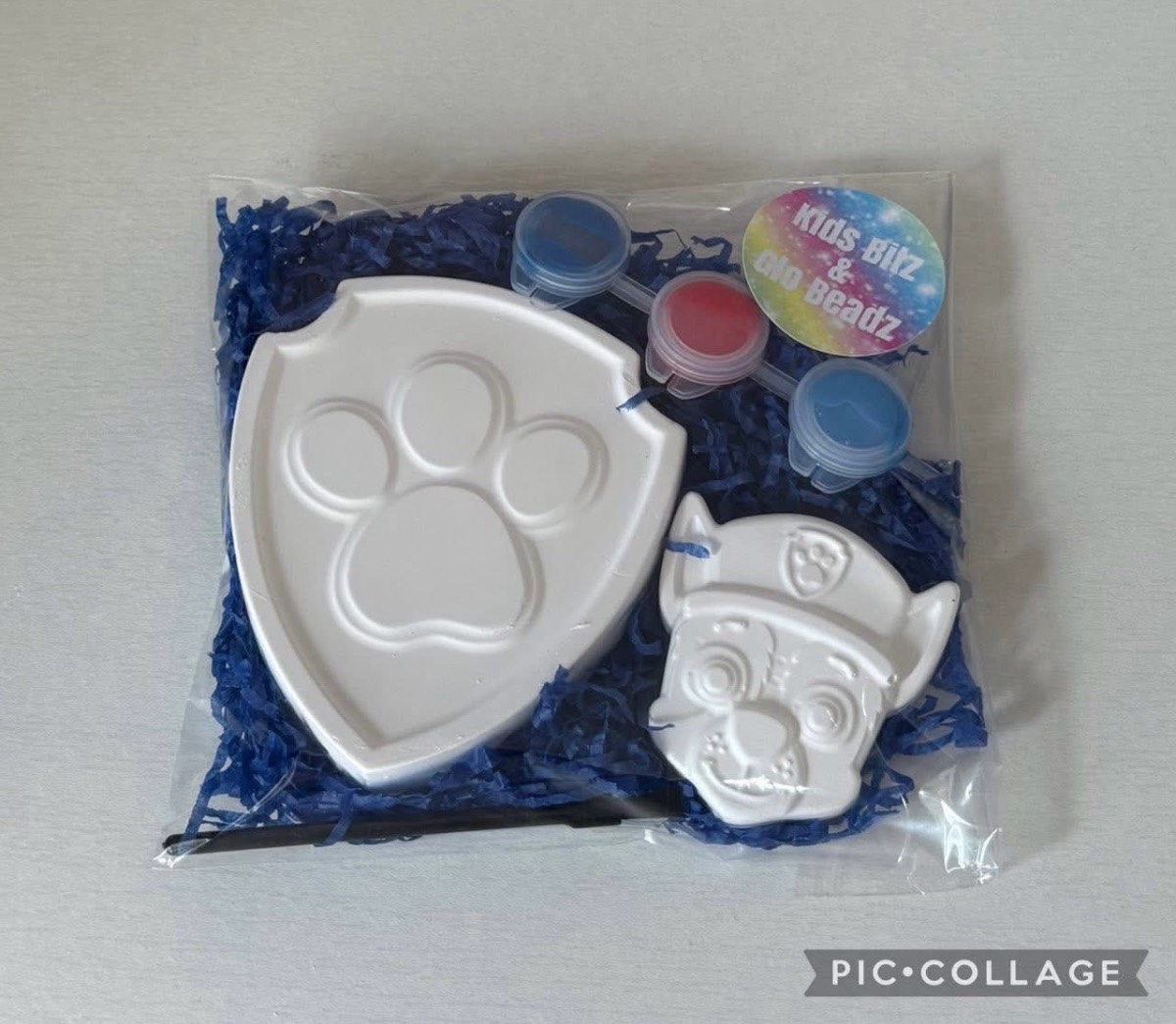 10x paint your own paw patrol Chase party bags