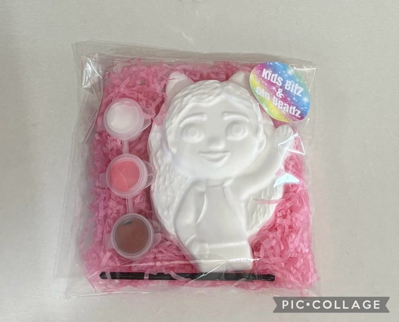 Gabbys DOLLSHOUSE paint your own party bags read description