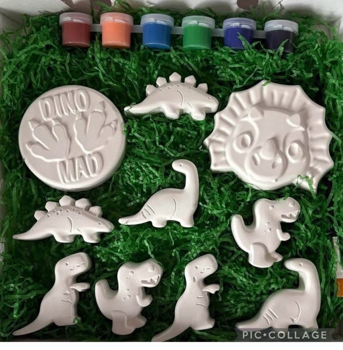 Dinasaur kids paint your own boxed plaster kit