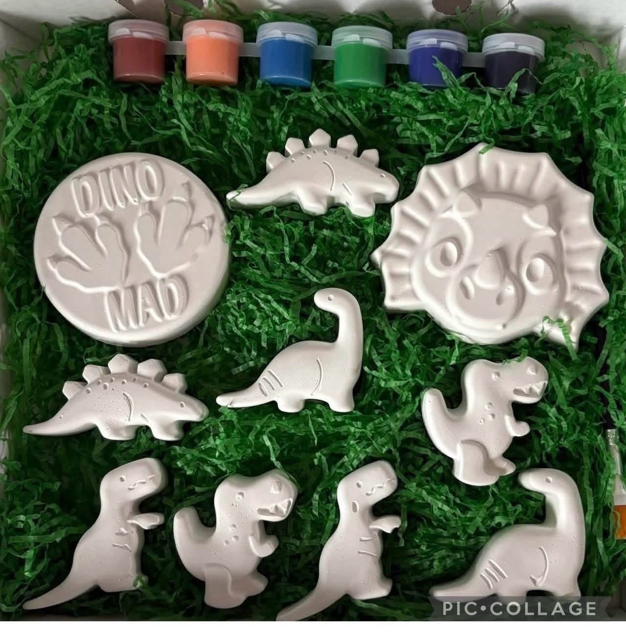 Dinasaur kids paint your own craft kit