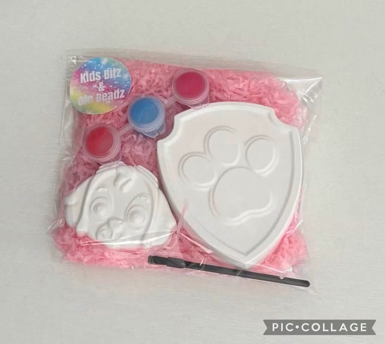 X10 paint your own party bags Skye paw patrol