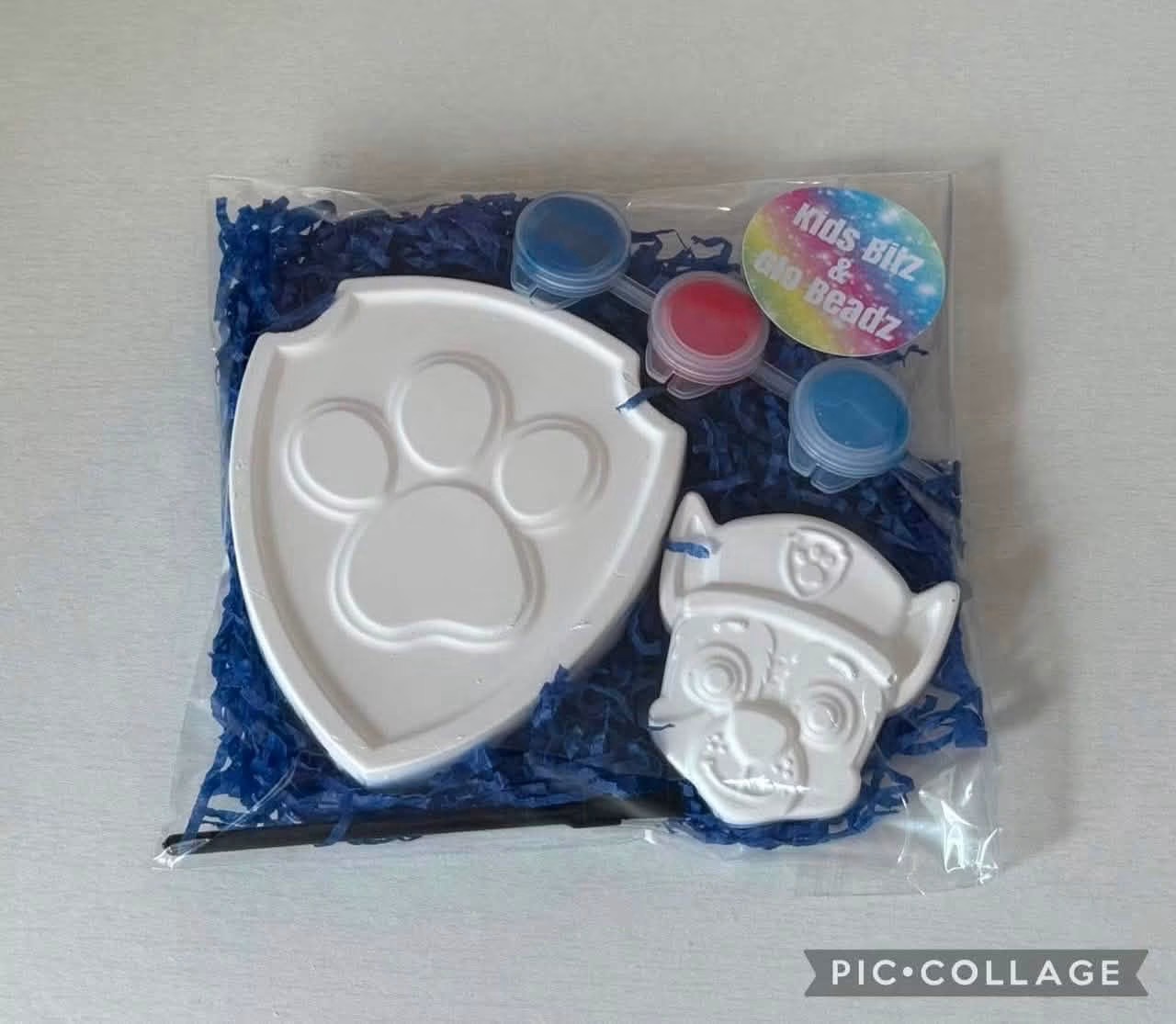 10x paw patrol Chase paint your own party bags