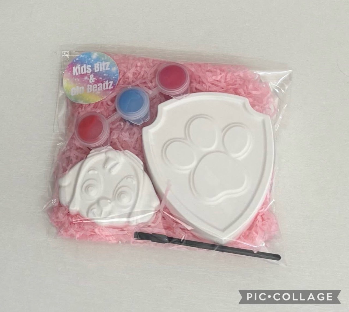 X10 paw patrol Skye paint your own party bags
