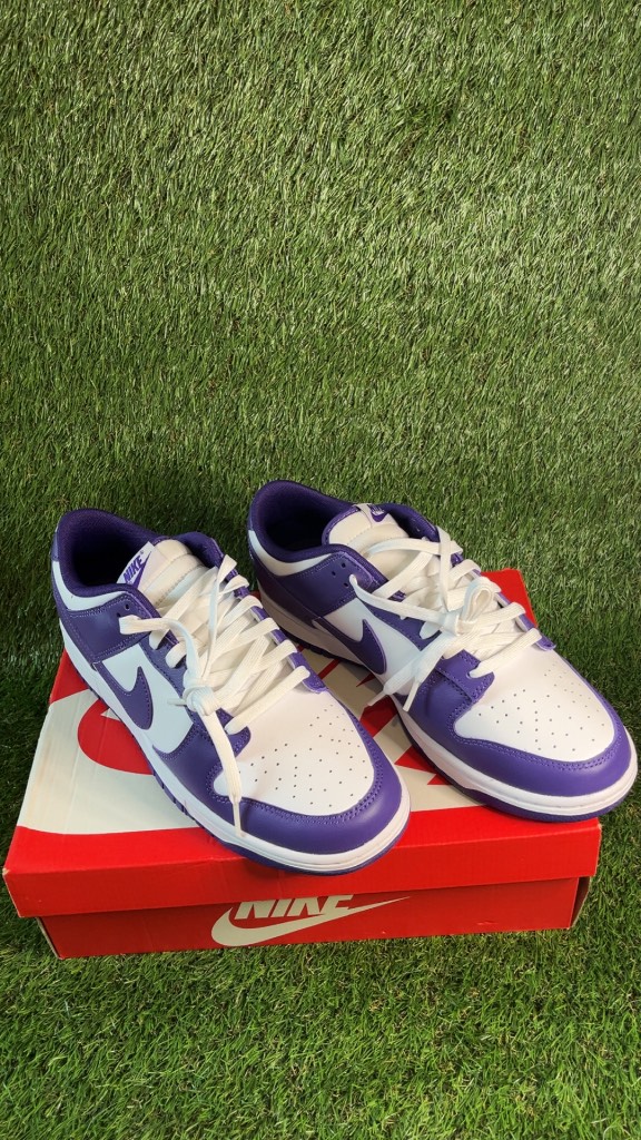 Nike Dunk Low Retro Trainers