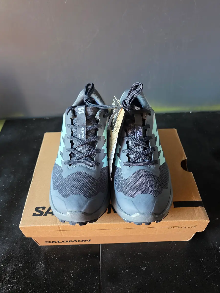 Salomon Alphaglide gtx