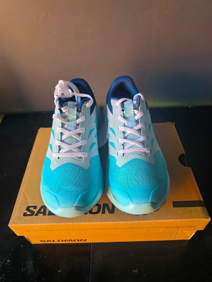 Salomon alphaglide