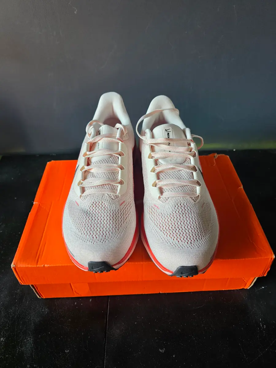 Nike air zoom Pegasus 41