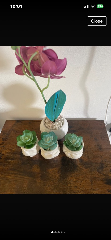 Habitat Set 3 See Hear Speak No Evil Owl Potted Succulents/ Faux Mini Orchid Set